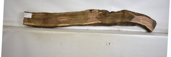 OLWIL1141_2