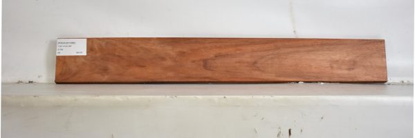 PADAUK1686_2