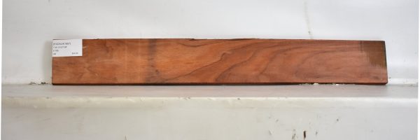 PADAUK1687_2