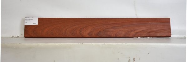 PADAUK1689_2