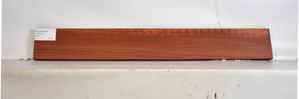 PADAUK1690_2