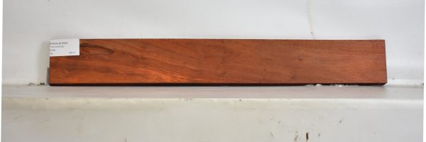 PADAUK1696_1