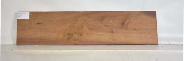 ROSEMAD1169_2