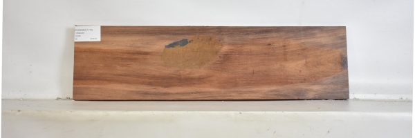 ROSEMAD1175_1