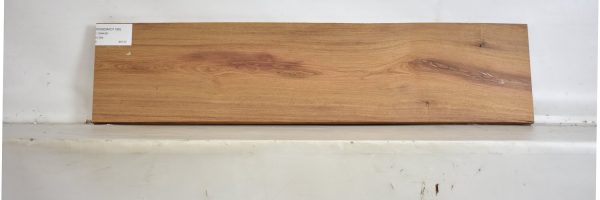 ROSEMAD1186_2