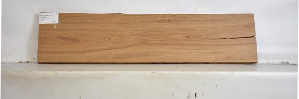ROSEMAD1187_2
