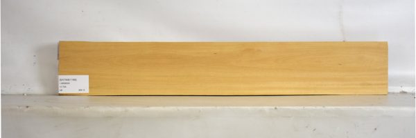 SATINEI1188_2