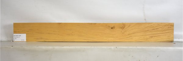 SATINEI1189_1