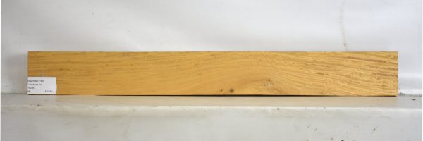 SATINEI1189_2