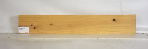 SATINEI1191_1