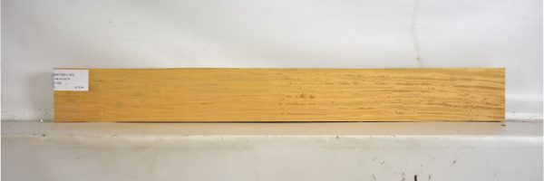 SATINEI1193_2
