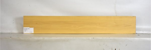 SATINEI1194_1