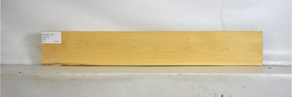 SATINEI1195_2