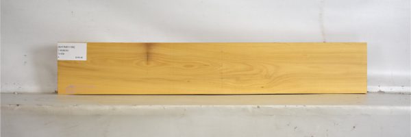 SATINEI1196_1