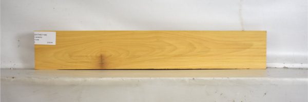 SATINEI1196_2