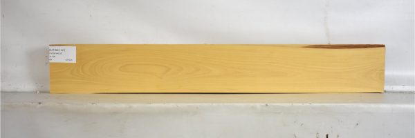 SATINEI1197_2