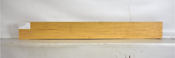 SATINEI1198_1