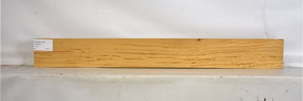 SATINEI1200_2