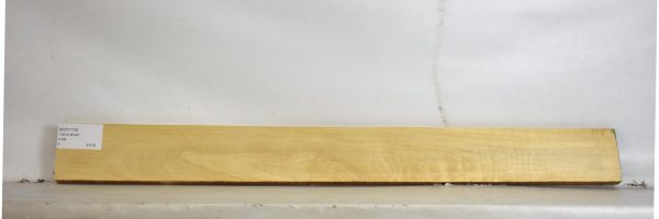 AVO1173_2