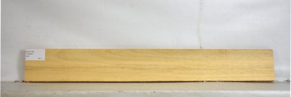 AVO1178_2