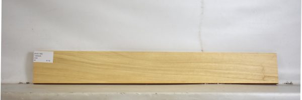 AVO1185_2