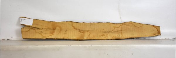BOX1437_2