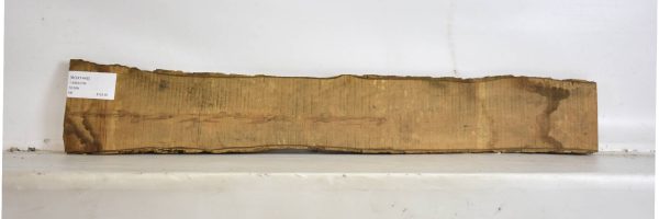 BOX1445_2