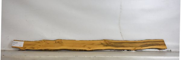 BOX1449_1