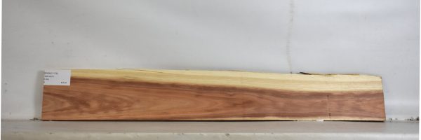 BWAC1176_2