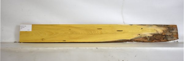 OSOR1164_2