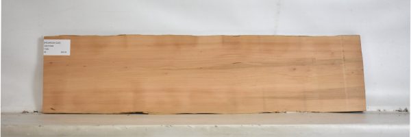 PEARSW1226_2