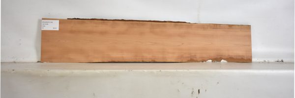PEARSW1234_2