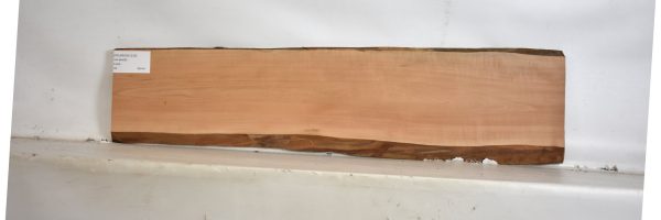 PEARSW1235_2