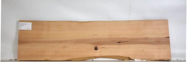 PEARSW1237_2