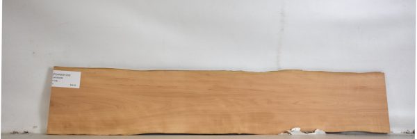 PEARSW1239_2