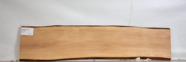 PEARSW1240_2
