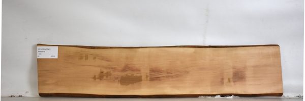 PEARSW1241_1