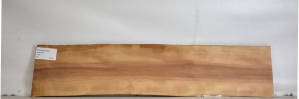 PEARSW1241_2