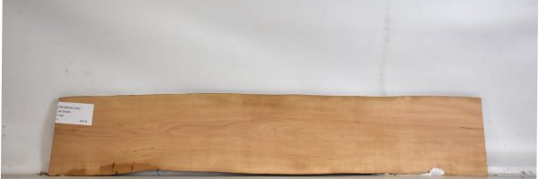 PEARSW1242_2