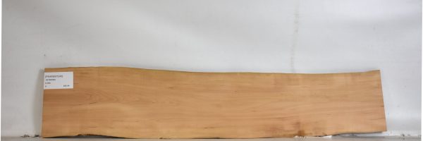 PEARSW1243_2