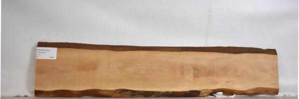 PEARSW1244_1