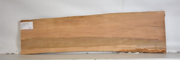 PEARSW1245_2