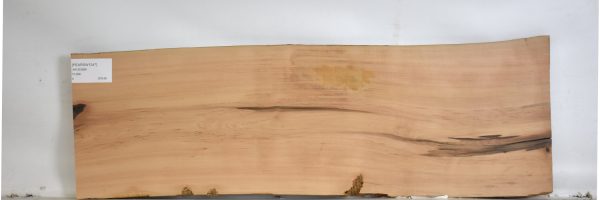 PEARSW1247_1
