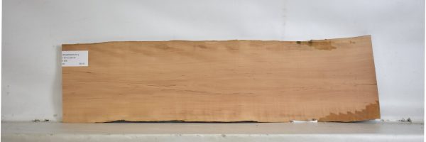 PEARSW1251_1