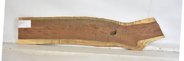 TAMB1031_2