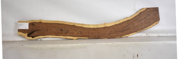 TAMB1032_1