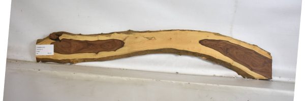 TAMB1032_2