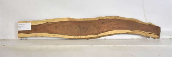 TAMB1033_2