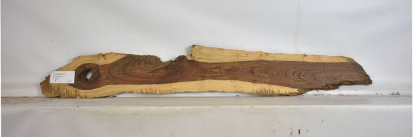 TAMB1034_2
