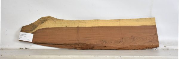 TAMB1036_2